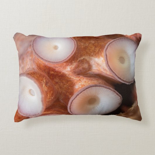 触手付き屋外枕 アクセントクッション (正面)