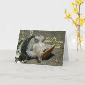 触覚付属肢 カード (黄色い花)