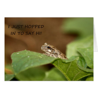 言うべき小さいアマガエルのホッピングこんにちは