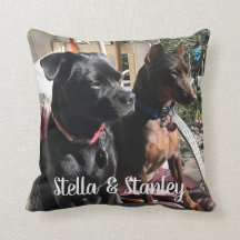 言うペットネームの枕