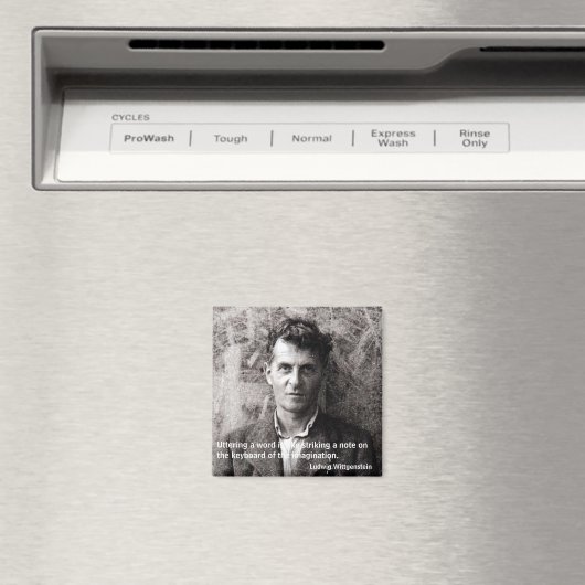 言葉を発することは印象的に似ている… マグネット (インサイチュ (食洗機))