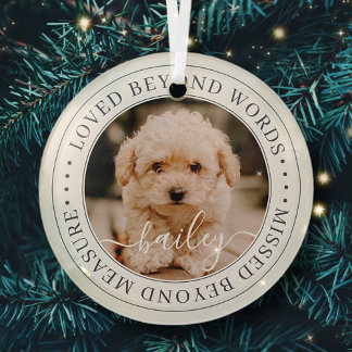 言葉を超えて愛されるペットエレガントメモリアルシック写真 ガラスオーナメント