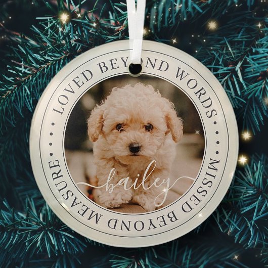 言葉を超えて愛されるペットエレガントメモリアルシック写真 ガラスオーナメント