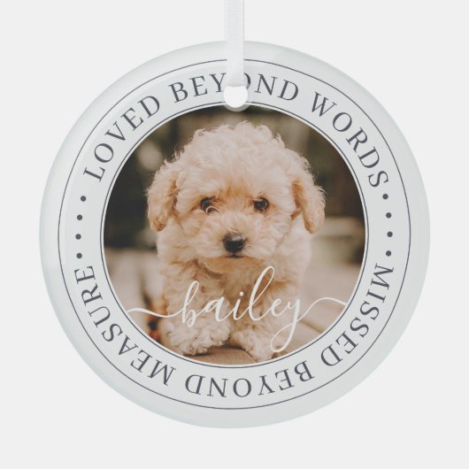 言葉を超えて愛されるペットエレガントメモリアルシック写真 ガラスオーナメント (正面)