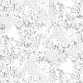 言語デザイン3 シール (正面)