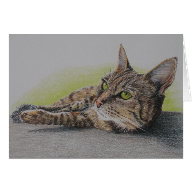 計器飛行証明の猫 (正面横)