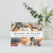 計画の変更シーシェル&流木はがき ポストカード (スタンド正面)