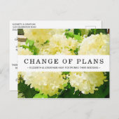 計画の変更ホワイトアナベルアジサイ葉書 ポストカード (正面/裏面)