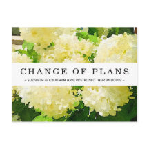 計画の変更ホワイトアナベルアジサイ葉書