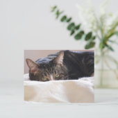 計画上のいたずら ポストカード (スタンド正面)