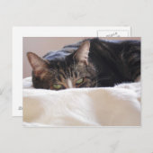 計画上のいたずら ポストカード (正面/裏面)