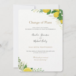 計画変更 結婚式延期のお詫び 案内状