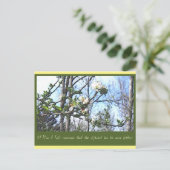 計画A ポストカード (スタンド正面)