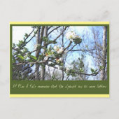 計画A ポストカード (正面)