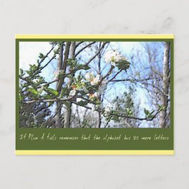 計画A ポストカード