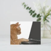 計算ネコ ポストカード (スタンド正面)