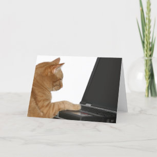 計算猫 カード