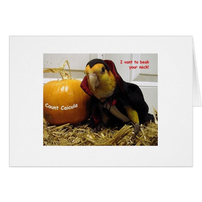 計算Caicula (正面横)