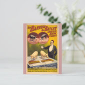 訓練された豚サーカスのポスター ポストカード (スタンド正面)