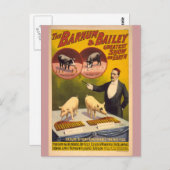 訓練された豚サーカスのポスター ポストカード (正面/裏面)