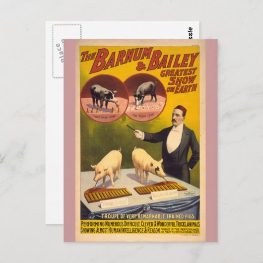 訓練された豚サーカスのポスター ポストカード (正面/裏面)