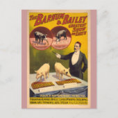 訓練された豚サーカスのポスター ポストカード (正面)