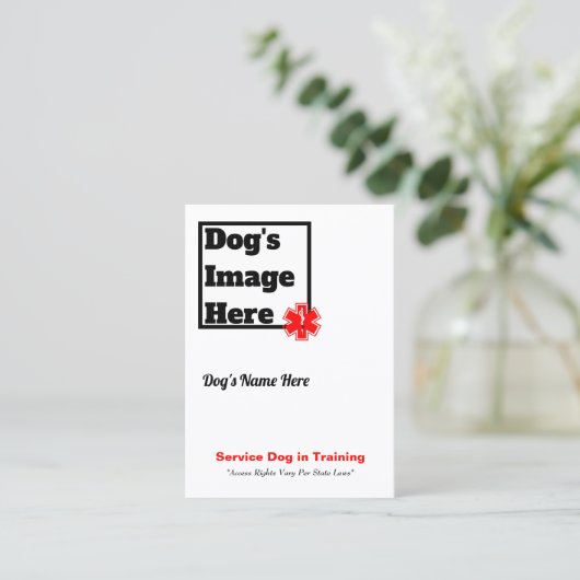 訓練のトレーディングカードの犬を整備して下さい 名刺 (スタンド正面)