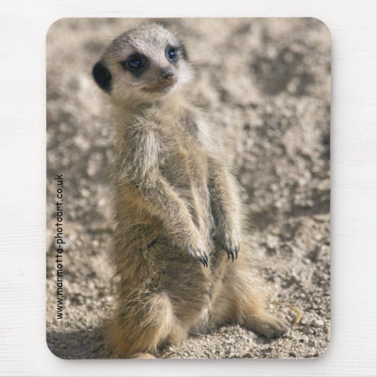 訓練のマウスマットの歩哨 マウスパッド (正面)