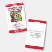 訓練中の介助犬IDカード 個人写真付き バッジ (正面&裏面)