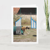 訓練中の犬 カード (正面)