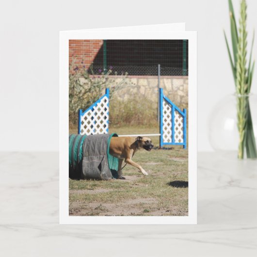 訓練中の犬 カード (正面)