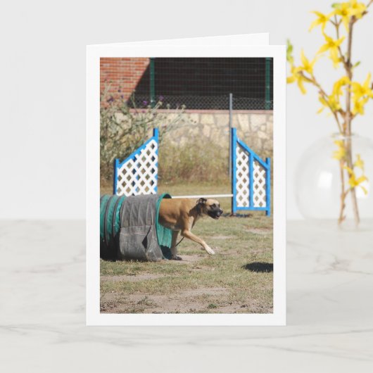 訓練中の犬 カード (黄色い花)