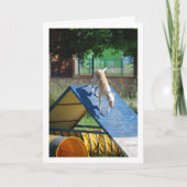 訓練中の犬 カード (正面)