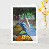 訓練中の犬 カード (黄色い花)