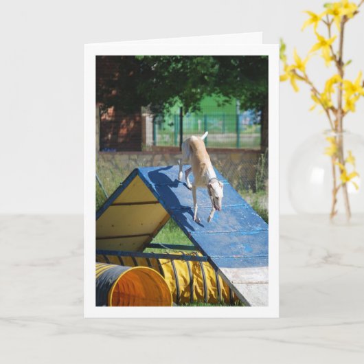 訓練中の犬 カード (黄色い花)