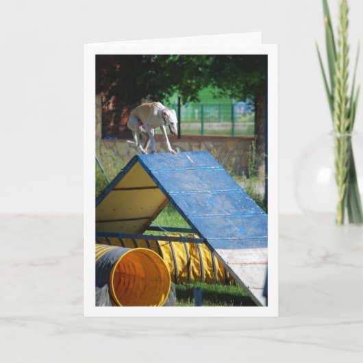 訓練中の犬 カード (正面)