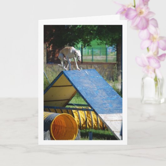 訓練中の犬 カード (蘭)