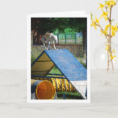 訓練中の犬 カード (黄色い花)