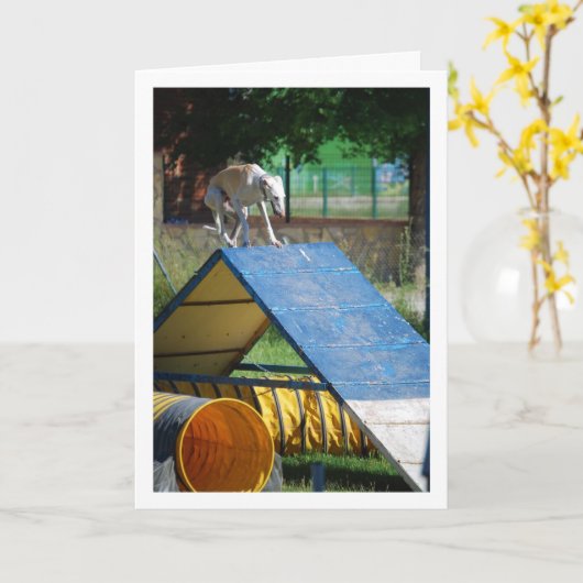 訓練中の犬 カード (黄色い花)