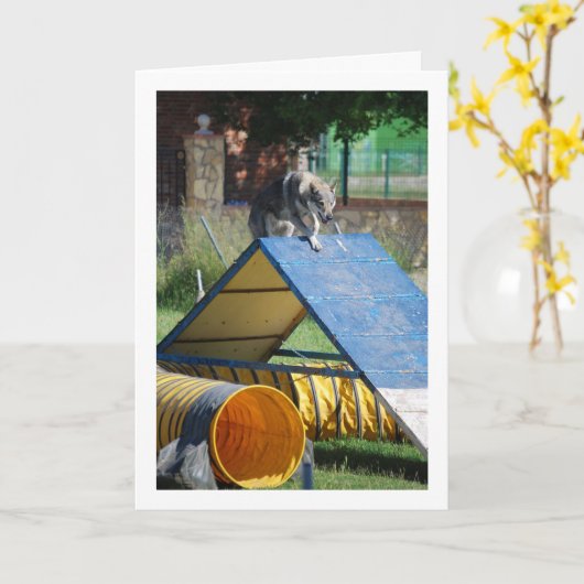 訓練中の犬 カード (黄色い花)