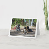 訓練学校の犬たち カード (正面)