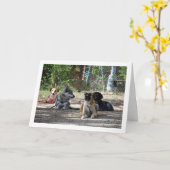 訓練学校の犬たち カード (黄色い花)