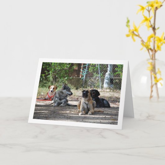 訓練学校の犬たち カード (黄色い花)