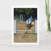 訓練学校の犬 カード (正面)