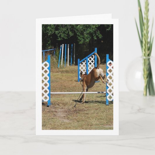 訓練学校の犬 カード (正面)