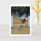 訓練学校の犬 カード (黄色い花)