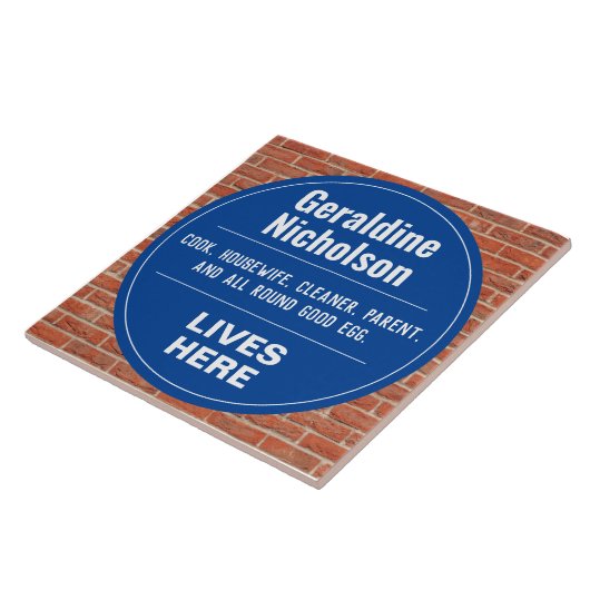 記念おもしろい壁板 タイル (側面)