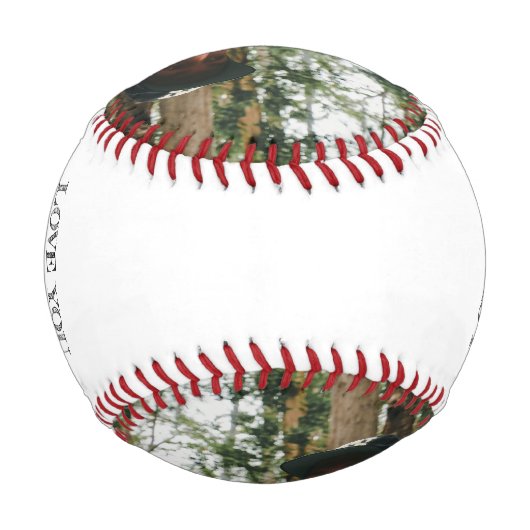 記念すべきスポーツのお父さんの日パーソナライズされた野球 野球ボール (裏面)