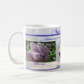 記念するニューハンプシャーの国家 コーヒーマグカップ (左)