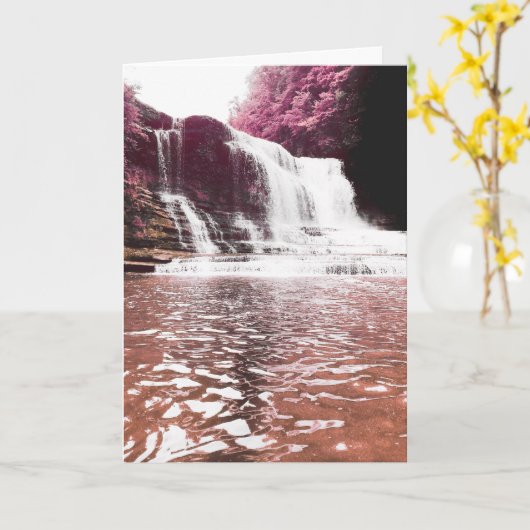 記念の滝の霞 カード (黄色い花)